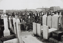 ul. Okopowa 49/51, Židovský hřbitov, pohled směrem na sever od části hřbitova č. 12. Foto NN/ sbírka Židovského Historického Institutu