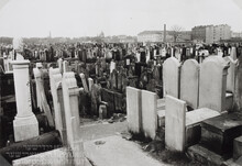 ul. Okopowa 49/51, cmentarz żydowski, widok w kierunku północnym od kw. 12, 1941 r. Fot. nieznany/Żydowski Instytut Historyczny