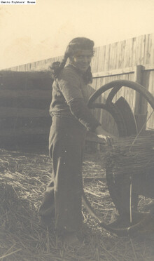 --ilustrační foto-- --ilustrační foto--