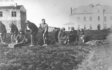 Work in the vegetable patch of the pioneering training farm (hachshara) of the He-Chaluts movement in Grochow. Photographed in 1934